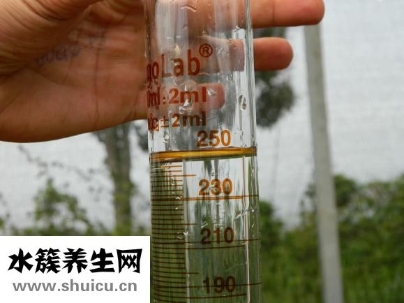 假发怎么洗