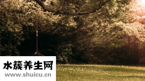 什么是冷暴力