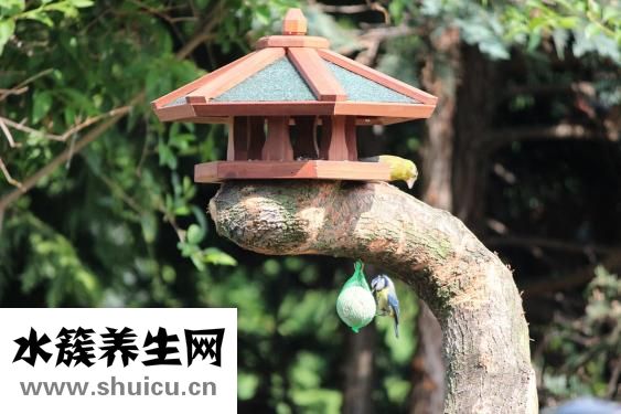 怎么瘦屁股