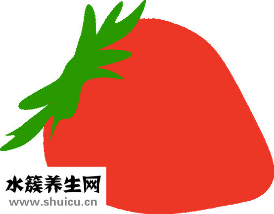 怎么养乌龟