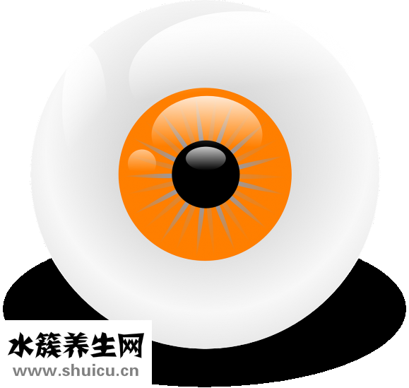 弯弯的月亮像什么