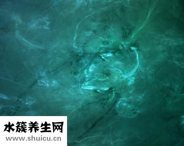 什么钓鱼愿者上钩