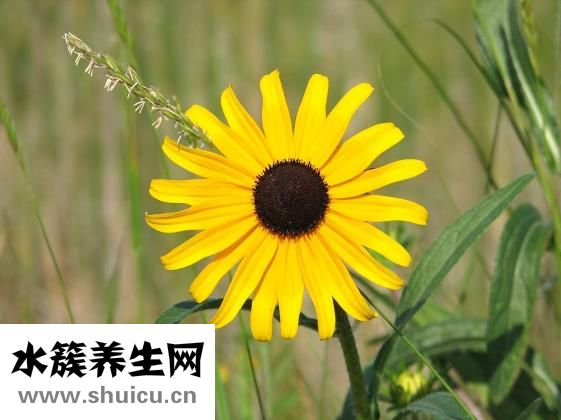 怎么开微店