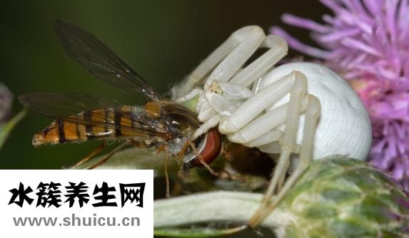 怎么去除狐臭