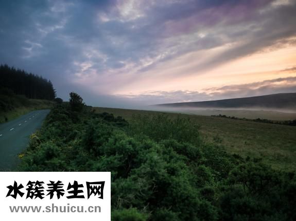 多愁善感便是焦虑情绪，它归属于精神类疾病