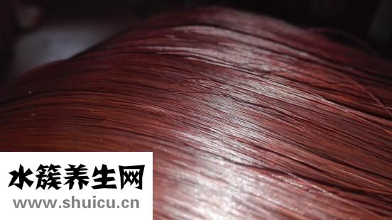 掉头发吃什么好