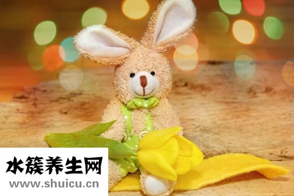 怎么能怀上孕
