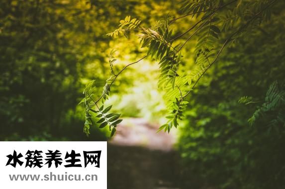 中暑吃什么药