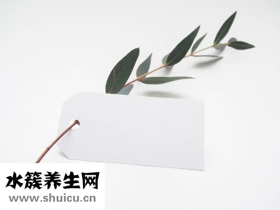 如何瘦小腿