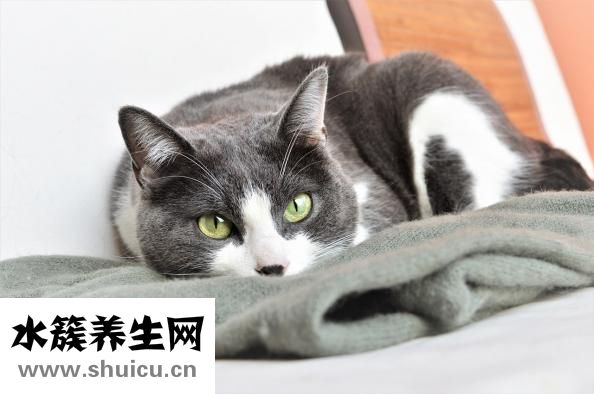 更年期症状有哪些