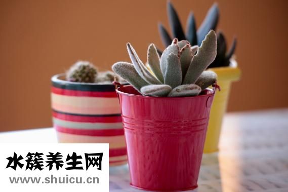 儿童喝什么牛奶好