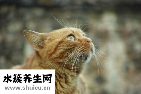 抑郁症有哪些症状