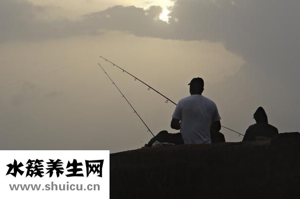 教学方法有哪些