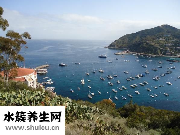 三个土是什么字