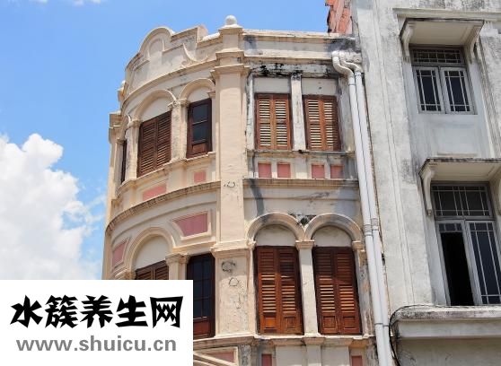 口哨怎么吹