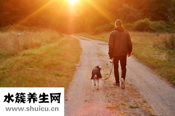 如何谈恋爱