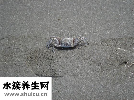 意义是什么意思