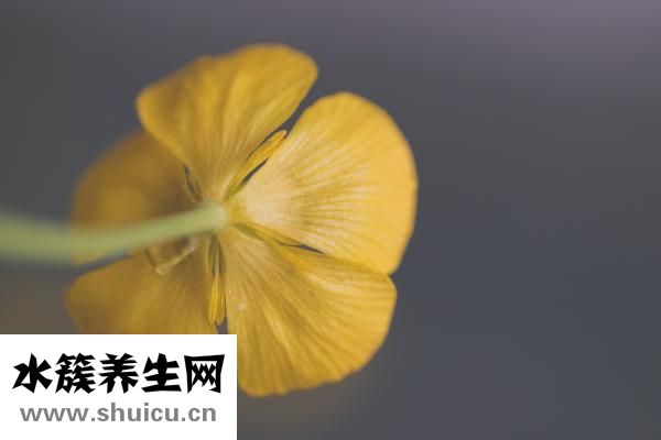 教学方法有哪些