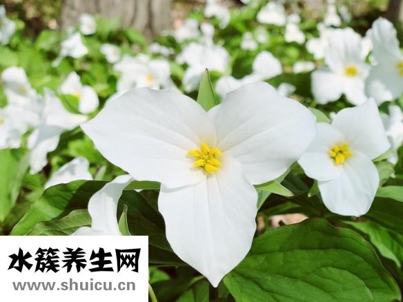 运动有助缓解焦虑情绪心情郁闷如何缓解？