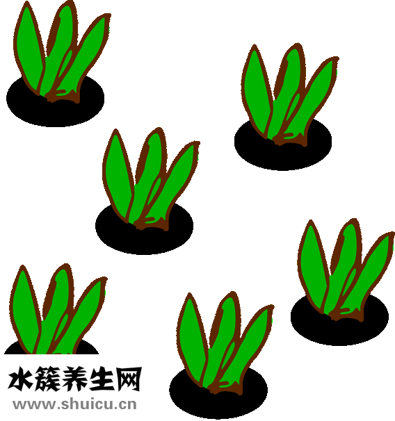 怎么死不痛苦