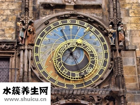 如何消灭跳蚤