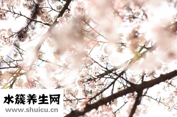 业余时间如何赚钱