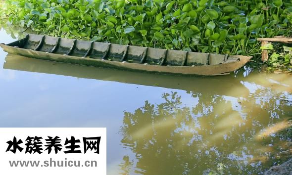 凉席怎么洗