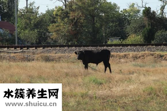 亲人去世怎么安慰