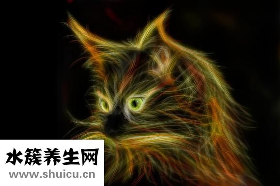 吃什么对眼睛好