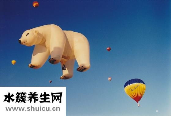 怎么样才能怀孕