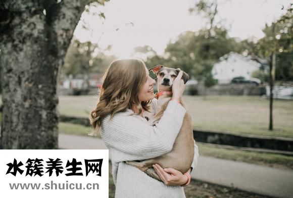 小腹疼痛是什么原因