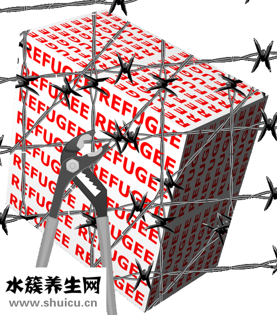 怎么样去黑头