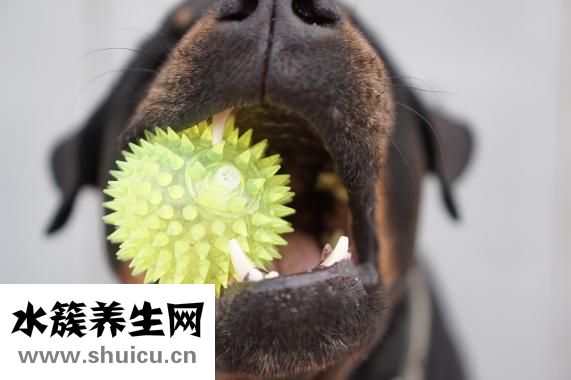 无聊的时候干什么