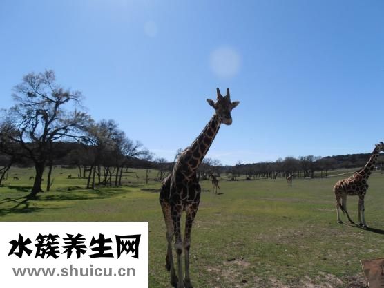 如何去除颈纹