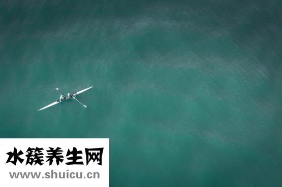 怎么才能瘦下来