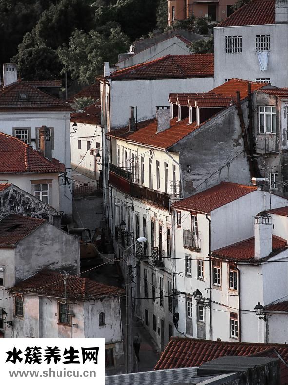 面部整形有哪些