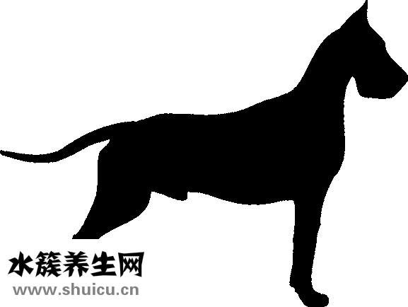 鼻头肥大怎么办