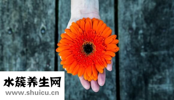 怎么才能瘦下来