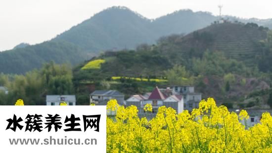 怎么消除黑眼圈？可用纯棉毛巾敷眼部位