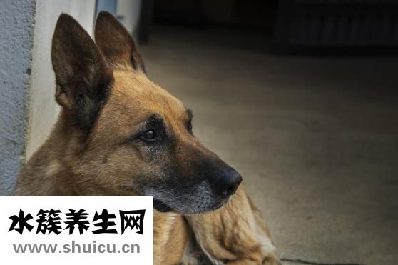 如何让鼻梁变高