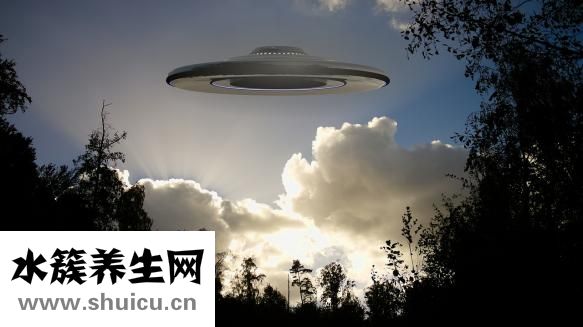 重阳节的风俗是什么