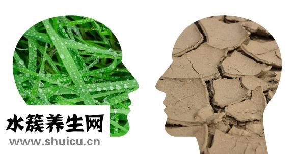 如何经营婚姻