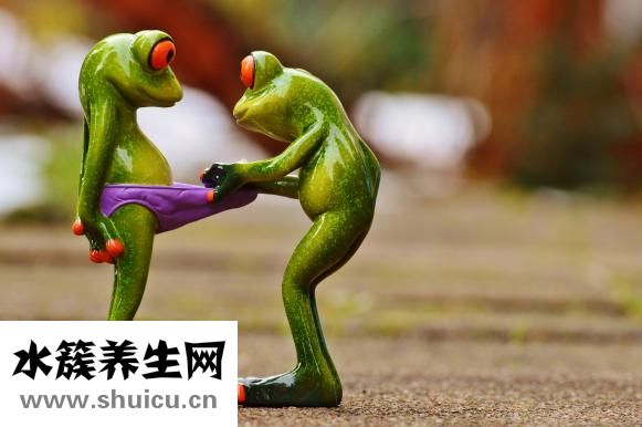 女人是什么