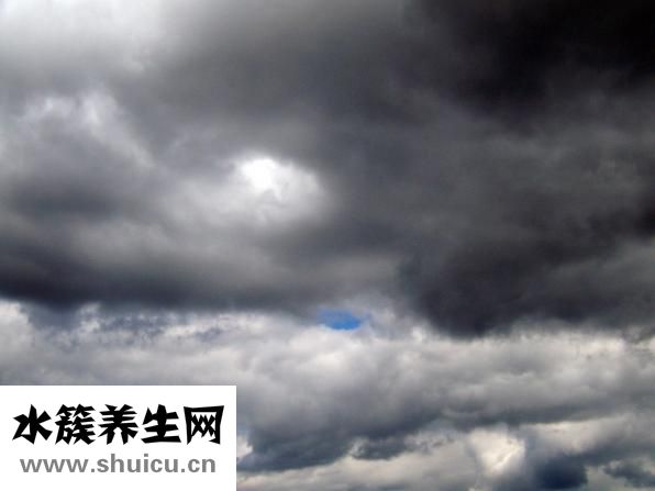 鼻毛长怎么办