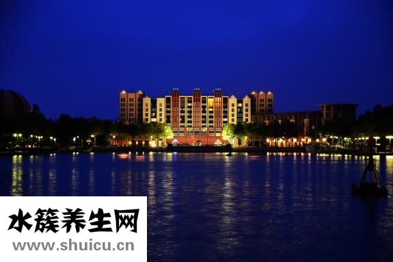 皮冻怎么做