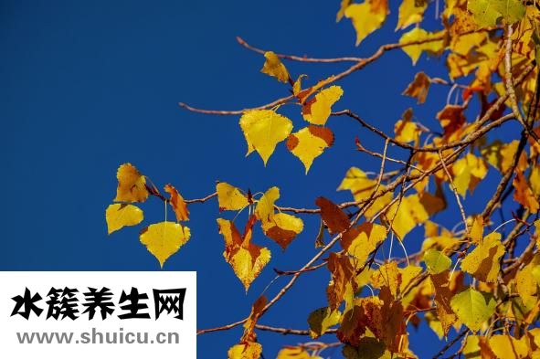 立秋是什么时候