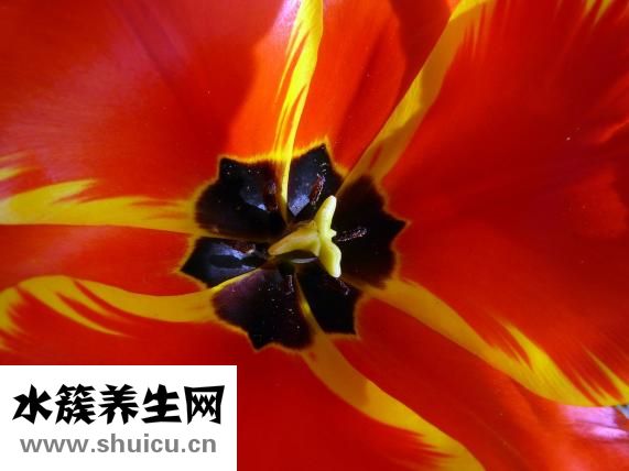 科幻画怎么画