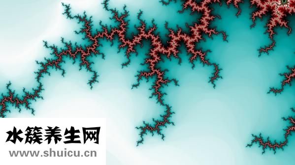 前列腺吃什么药