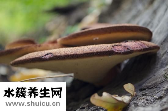 脚出汗怎么办