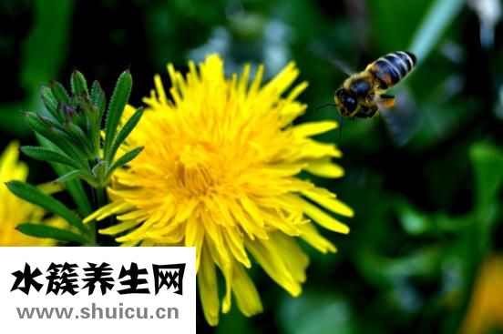 怎么样可以祛斑